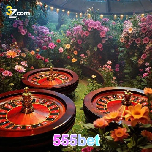 Benefícios da Conta 555bet